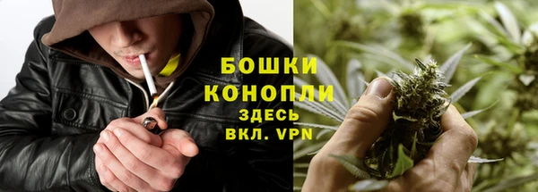 мдпв Новодвинск