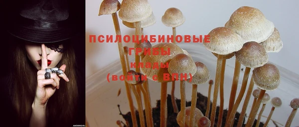 меф Новозыбков