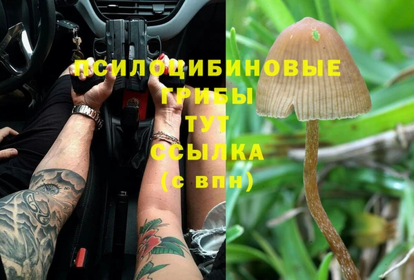 меф Новозыбков