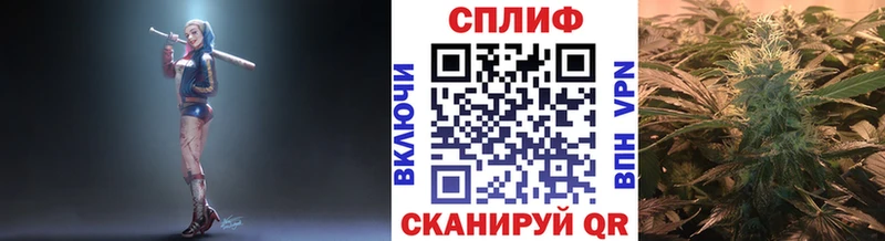 МАРИХУАНА конопля  Бабаево 